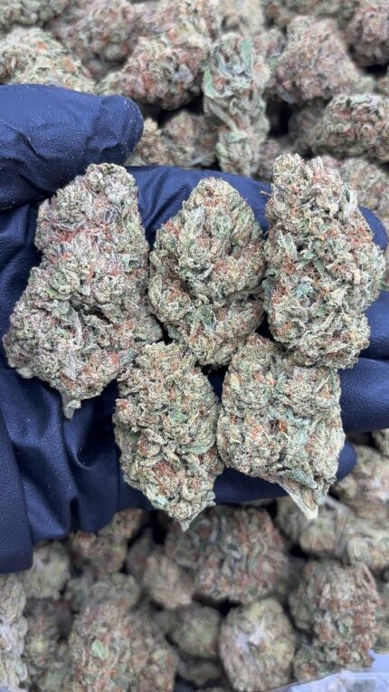 London Lemonade Strain