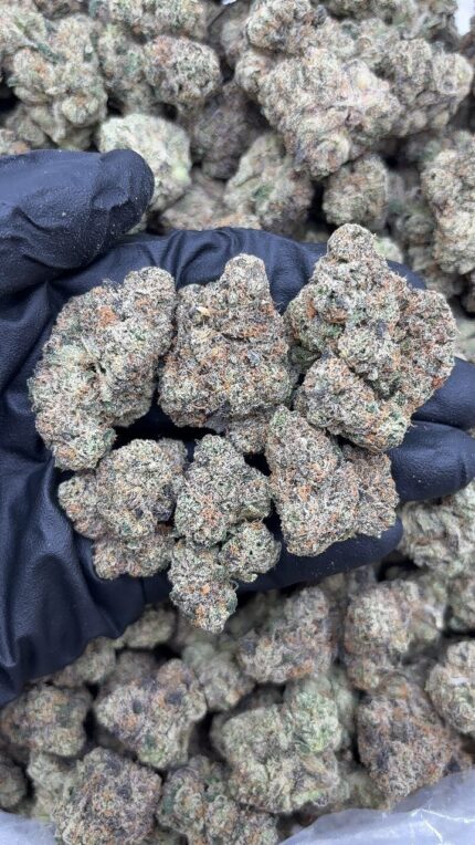 Blue Nerds Strain